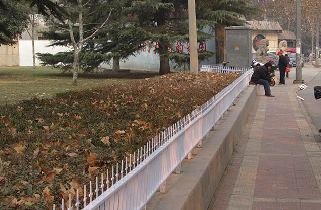 锌钢草坪护栏 锌钢草坪护栏